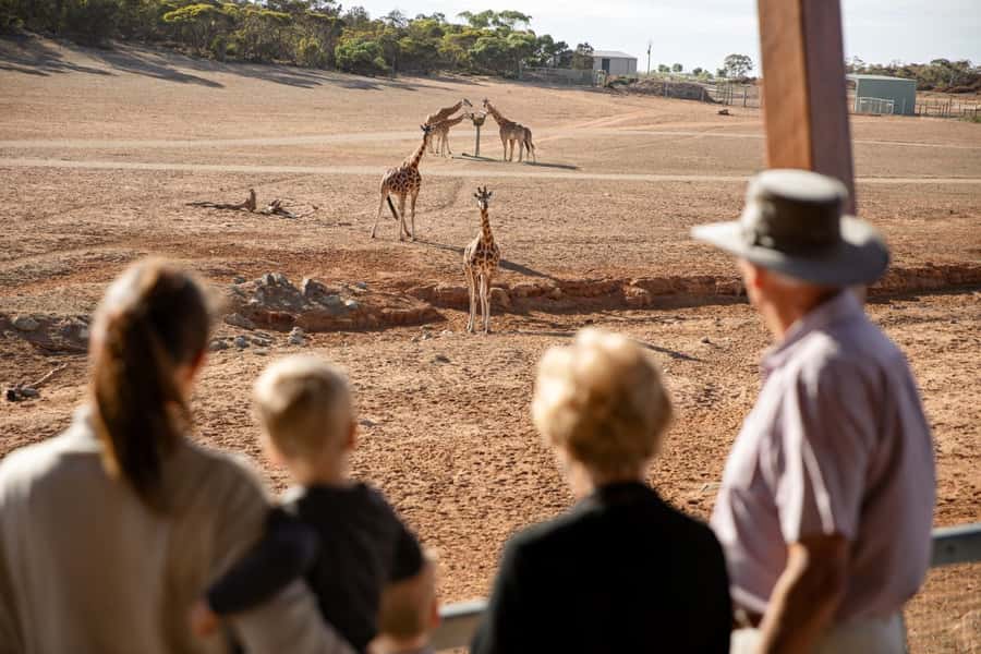 Monarto Safari Park: General Admission Tickets - Getting started at the entrance tunnel