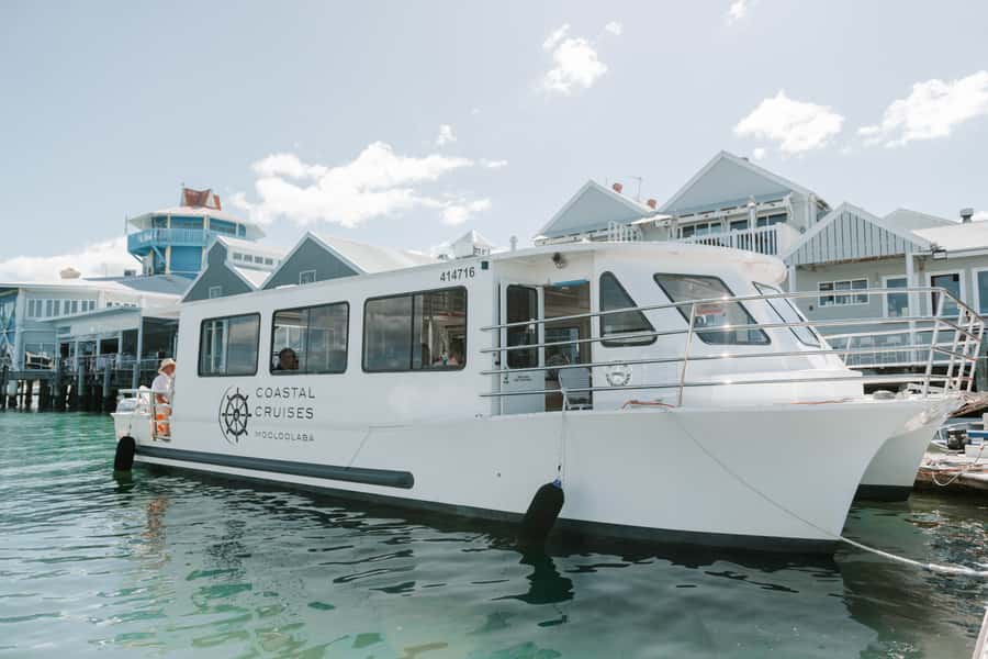 Mooloolaba: Seafood Lunch Cruise - What the 90-minute route shows you