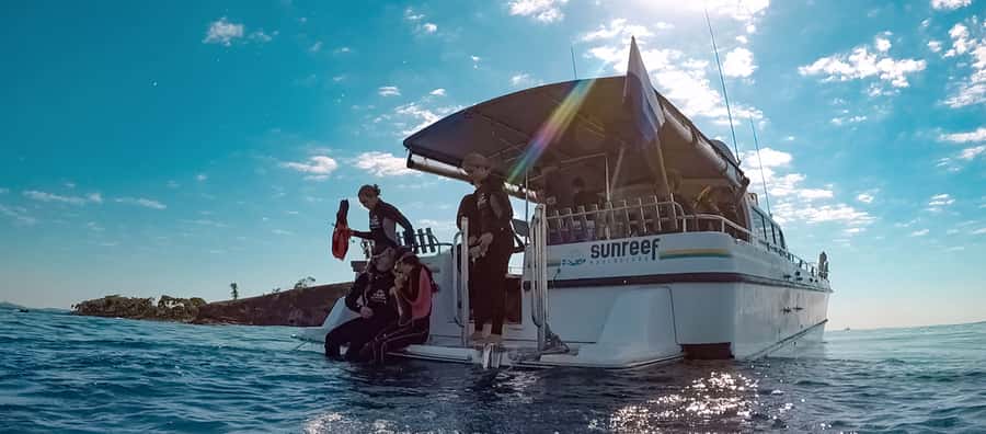 Mooloolaba: Snorkel with Turtles Mudjimba Island - Mudjimba Island, where turtles share the reef