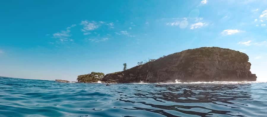 Mooloolaba: Snorkel with Turtles Mudjimba Island - One hour with turtles and reef life