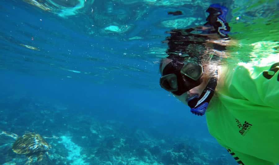 Mooloolaba: Snorkel with Turtles Mudjimba Island - How rough conditions change the experience