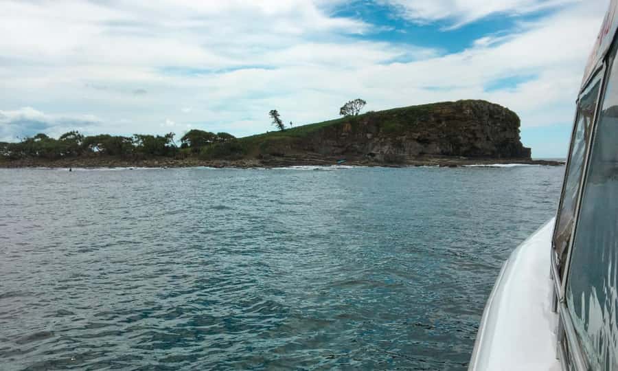 Mooloolaba: Snorkel with Turtles Mudjimba Island - Who should book this snorkel?