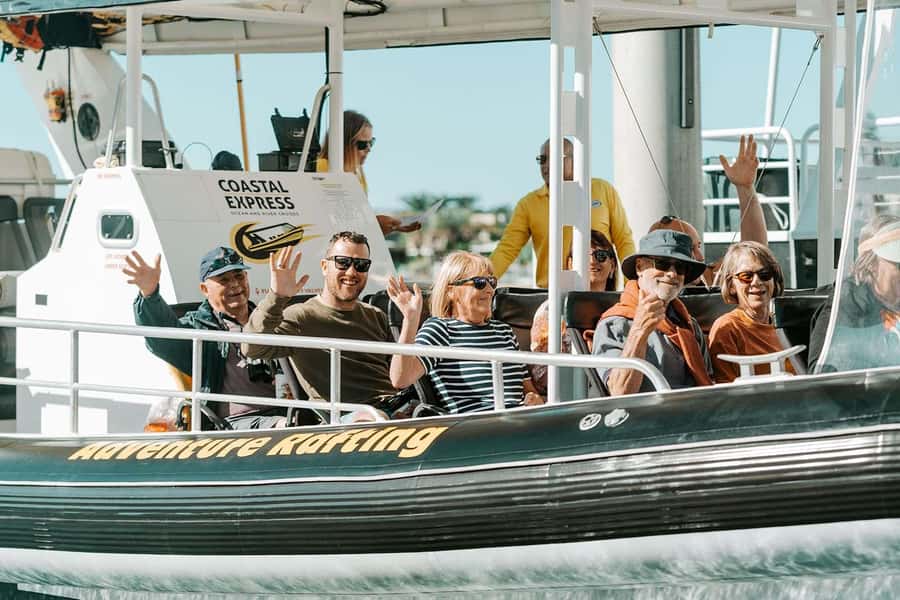 Mooloolaba: Whale Watching Cruise - Key points at a glance