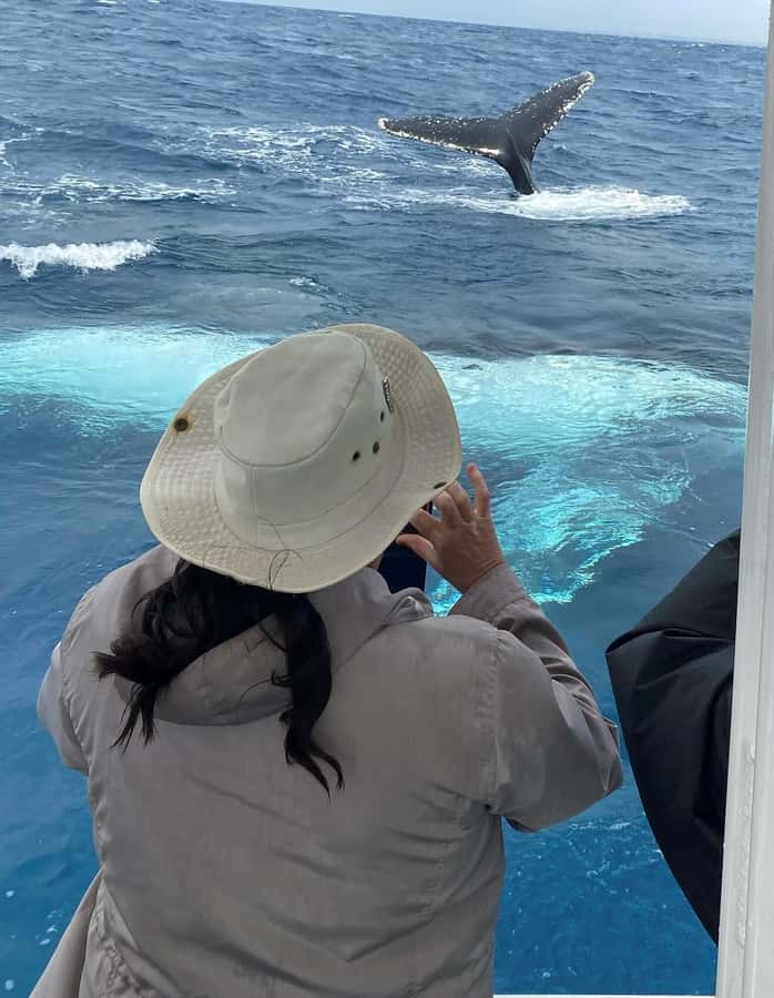 Mooloolaba: Whale Watching Cruise - Is $63 good value?