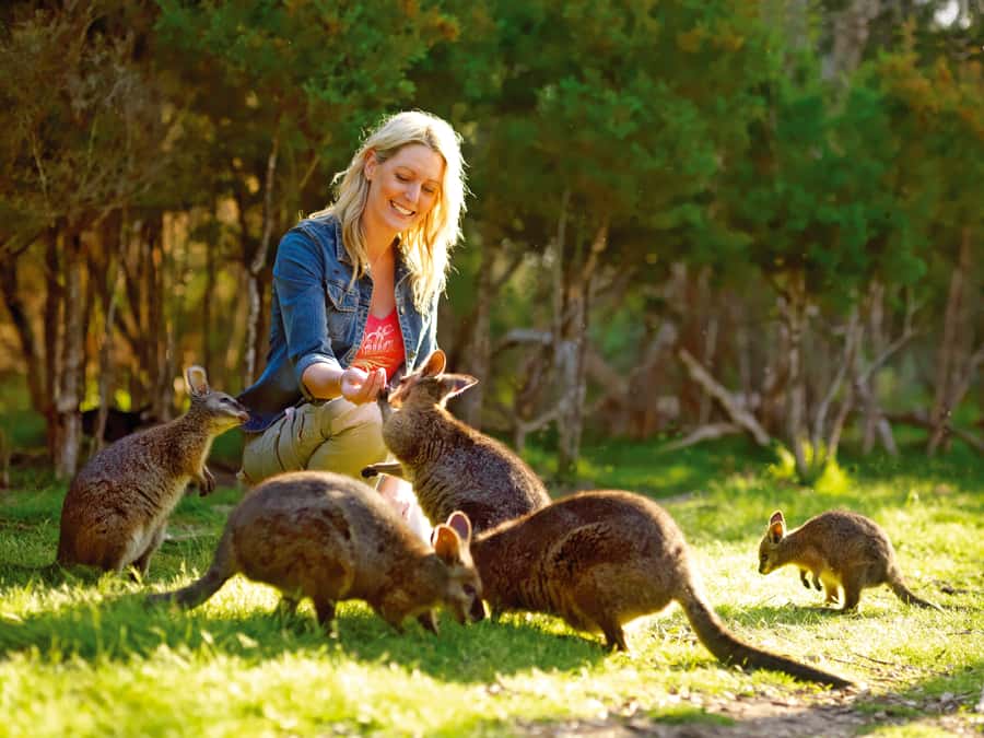 Moonlit Sanctuary Conservation Park Entry Ticket - Key points at a glance