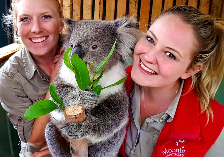 Moonlit Sanctuary Conservation Park Entry Ticket - Koalas, wombats, and paid encounters