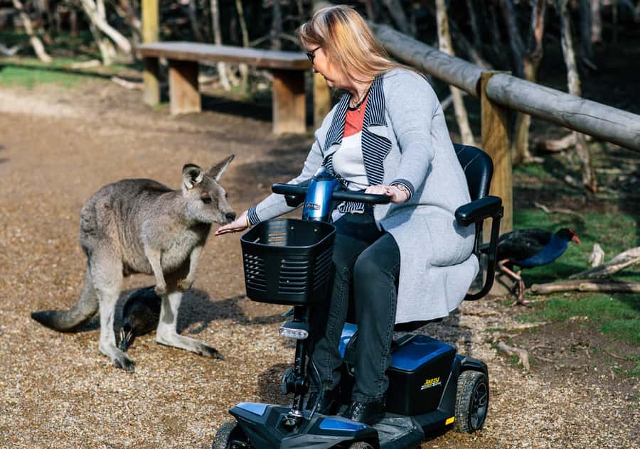Moonlit Sanctuary Conservation Park Entry Ticket - Getting there from Melbourne and pairing it with Phillip Island