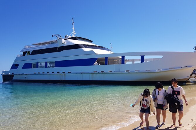 Moreton Island Day Trip (Kayak, Snorkel & Sandboard) frm Brisbane or Gold Coast - Picnic lunch and practical comfort
