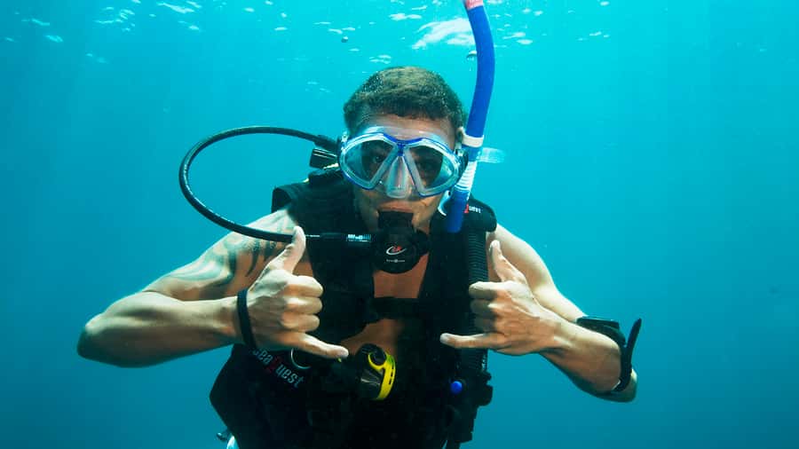 Moreton Island Day-Trip to Scuba Dive and More - The Tangalooma Wrecks are worth the early alarm