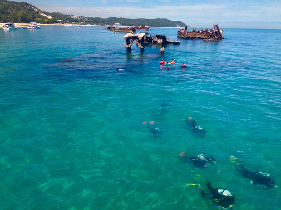 Moreton Island Day-Trip to Scuba Dive and More - Choosing the right scuba option