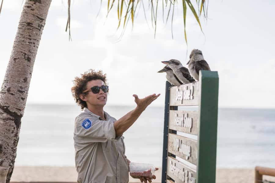 Moreton Island: Desert Safari Tour & Dolphin Viewing - Who should choose this tour