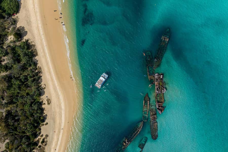 Moreton Island: Dolphin & Tangalooma Wrecks Snorkel Cruise - Key points to know before booking
