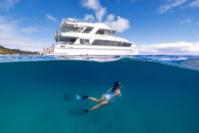 Moreton Island: Dolphin & Tangalooma Wrecks Snorkel Cruise