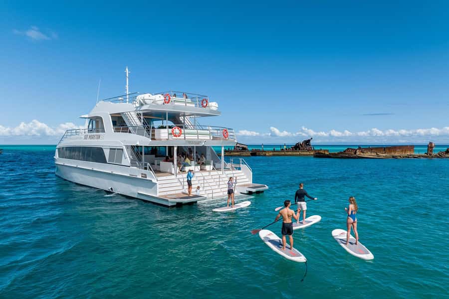 Moreton Island: Dolphin & Tangalooma Wrecks Snorkel Cruise - Practical advice for a better day