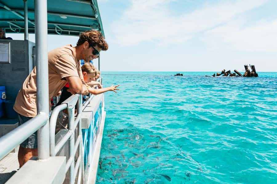 Moreton Island: Marine Discovery Cruise & Dolphin Feeding - The day begins at Holt Street Wharf