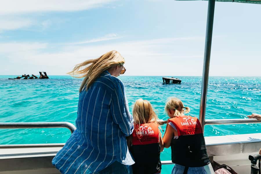 Moreton Island: Marine Discovery Cruise & Dolphin Feeding - Sunset dolphin feeding is the main event
