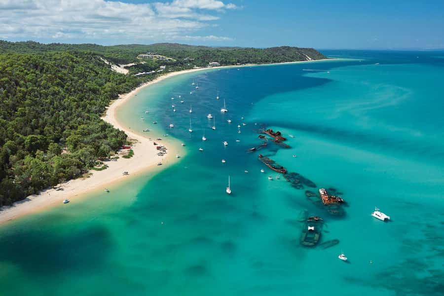 Moreton Island: Marine Discovery Cruise & Dolphin Feeding - What to pack and how to plan your time