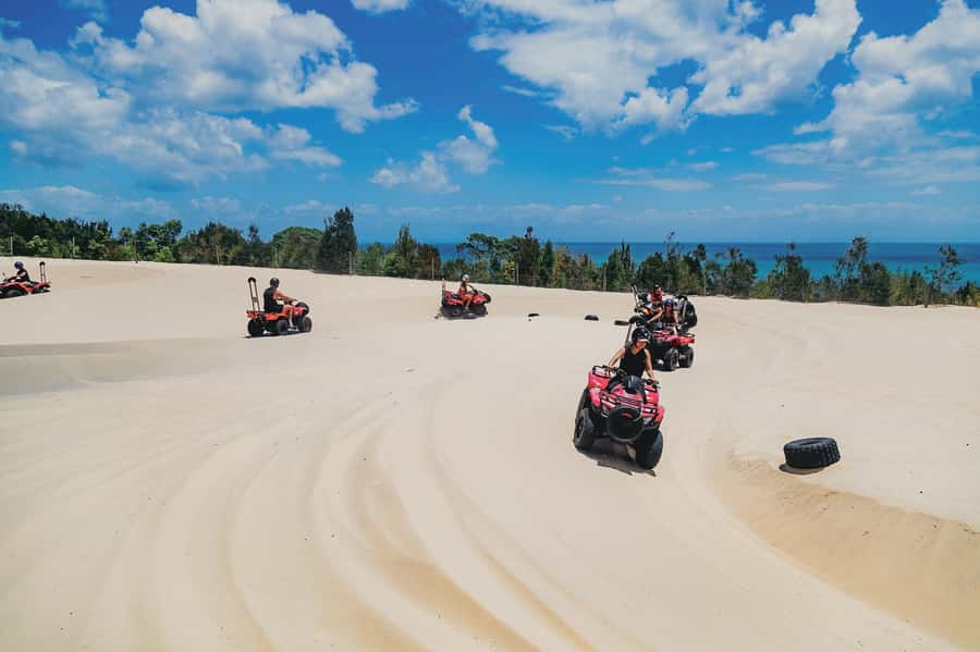 Moreton Island: Tangalooma ATV Quad Bike & Dolphin Feeding - Sunset brings the wild dolphin session