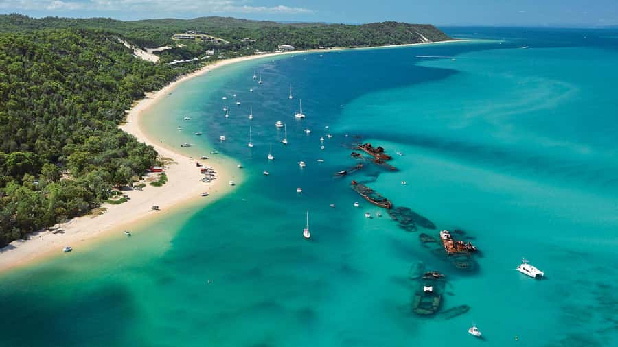 Moreton Island: Tangalooma Day Trip with ATV Quad Bike Tour - What the 45-minute quad bike tour feels like