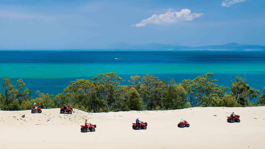 Moreton Island: Tangalooma Day Trip with ATV Quad Bike Tour - The return boat and the real time on the island