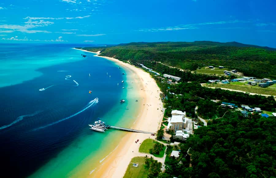 Moreton Island: Tangalooma Desert Safari and Dolphin Feeding - Riding into the desert for sand tobogganing