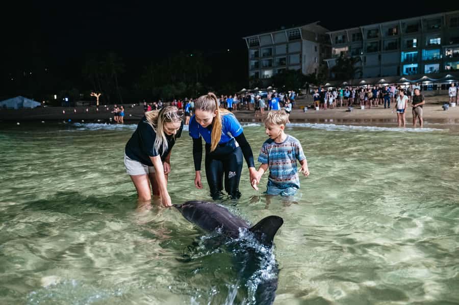 Moreton Island: Tangalooma Desert Safari and Dolphin Feeding - Getting your bearings at Tangalooma Island Resort