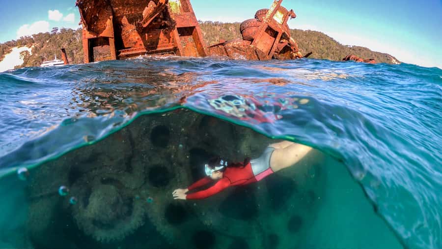 Moreton Island: Tangalooma Snorkeling Tour & Dolphin Feeding - Key points to know before booking