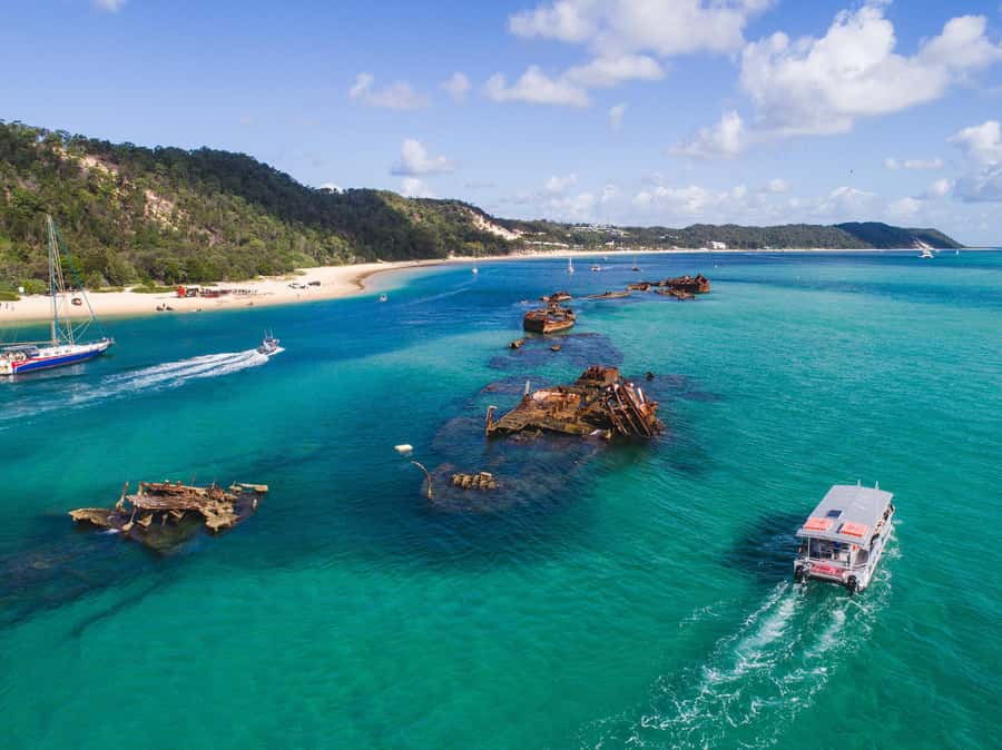 Moreton Island: Tangalooma Snorkeling Tour & Dolphin Feeding - Who should book this day trip?