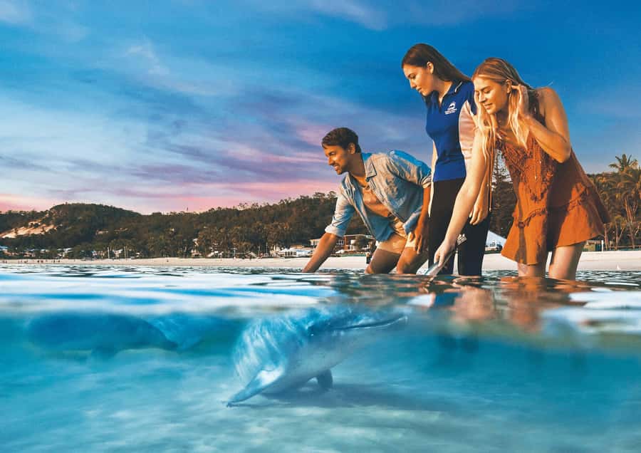 Moreton Island: Tangalooma Snorkeling Tour & Dolphin Feeding - Lunch is flexible, but the voucher has limits