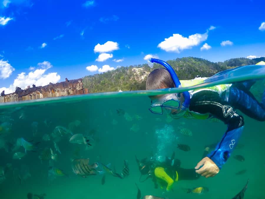Moreton Island: Tangalooma Snorkeling Tour & Dolphin Feeding - What the snorkeling session is really like