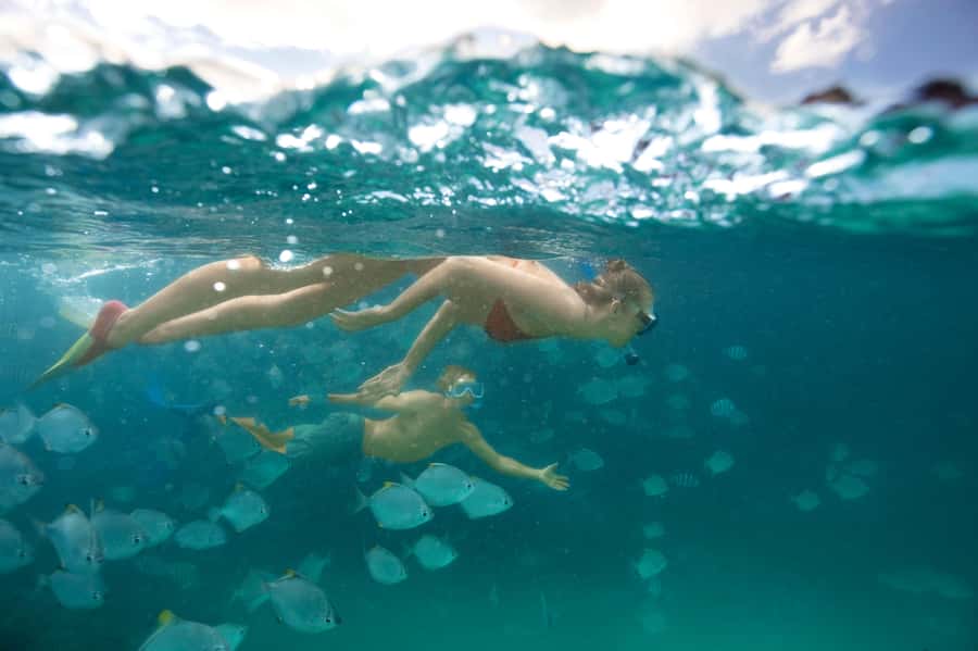 Moreton Island: Tangalooma Snorkeling Tour & Dolphin Feeding - Is $172 good value?