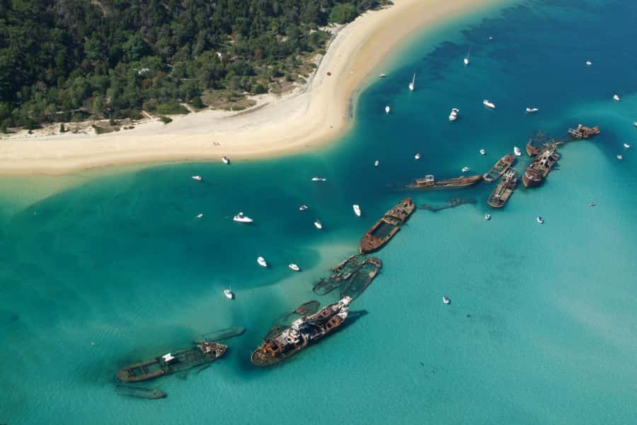 Moreton Island: Tangalooma Snorkelling with Dolphin Viewing - Who should book this day out?