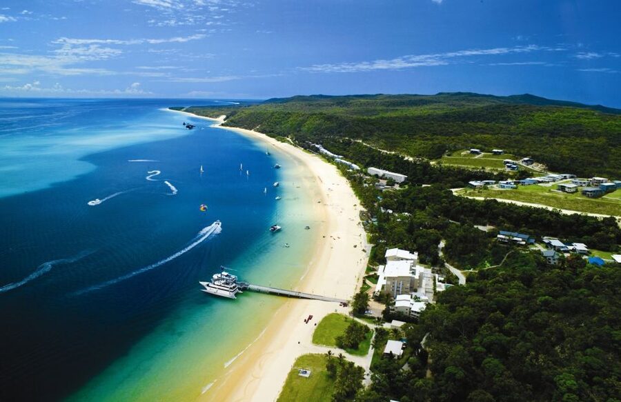 Moreton Island: Tangalooma Whale Watching & Dolphin Feeding - The dolphin presentation and afternoon gap