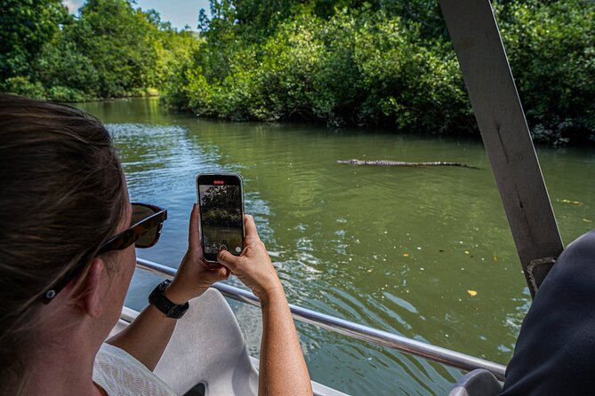 Morning Daintree Tour with River Cruise from Port Douglas - What to bring and what is included