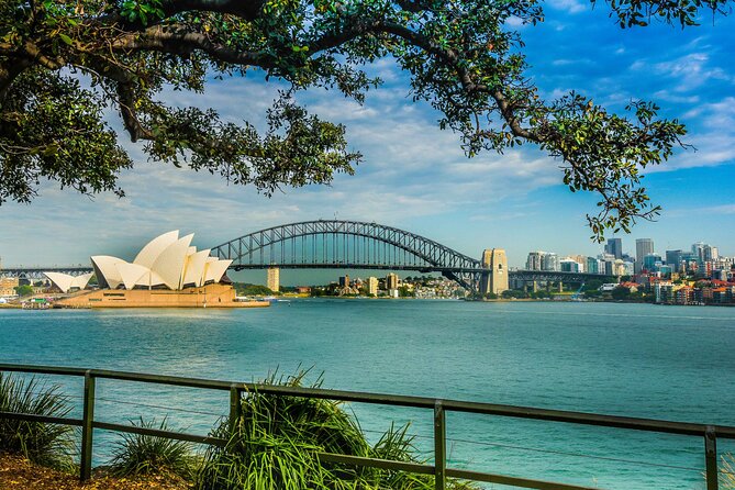 Morning or Afternoon Half-Day Sydney City Sightseeing Tour - Rose Bay, Double Bay, Point Piper, and Watsons Bay