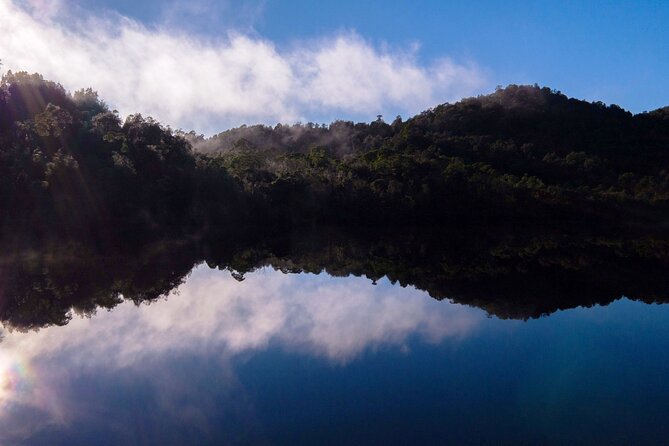 Morning World Heritage Cruise on the Gordon River from Strahan - Lunch on board the catamaran