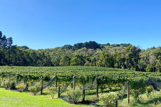 Mornington Peninsula Self-Guided Bike Tour | Food & Wine Region - Price, timing, and the real value
