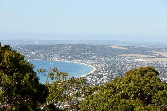 Mornington Peninsula Sightseeing and Bay Cruise - Arthurs Seat and Murray’s Lookout