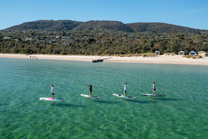 Mornington Peninsula Sightseeing and Bay Cruise - What the guides add to the day