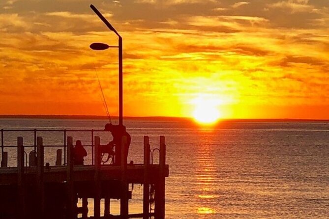 Mornington Peninsula Sightseeing and Bay Cruise - Is the $121.21 price good value?