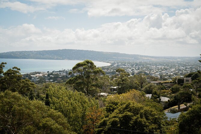 Mornington Peninsula Small Group Thermal Springs w/ Lunch & Wine - What the guides add to the day
