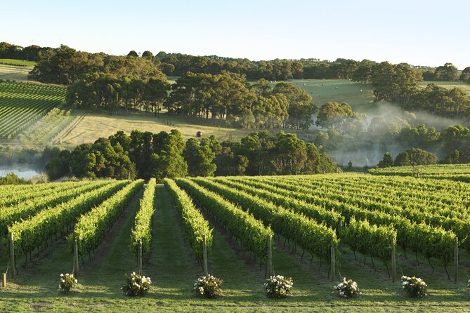 Mornington Peninsula Wine Day Tour - Crittenden Wines brings more variety to the table
