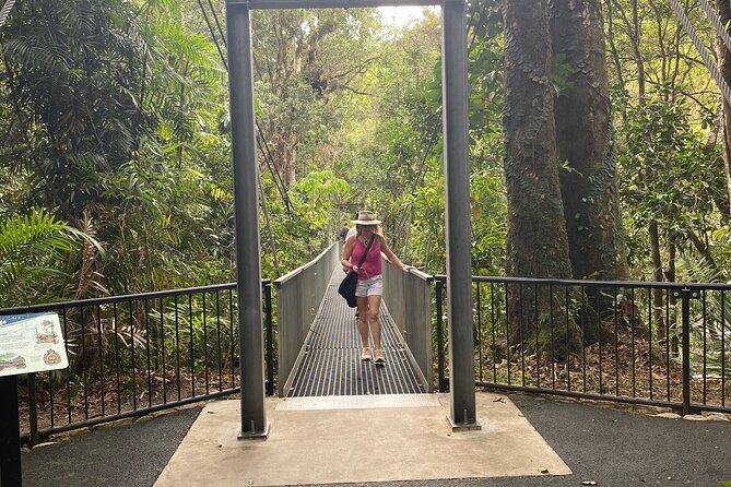 Mossman Gorge Daintree Experience Small Groups - Three hours at Mossman Gorge