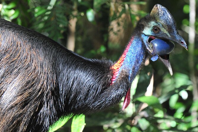 Mossman Gorge Daintree Experience Small Groups - The guide makes the difference