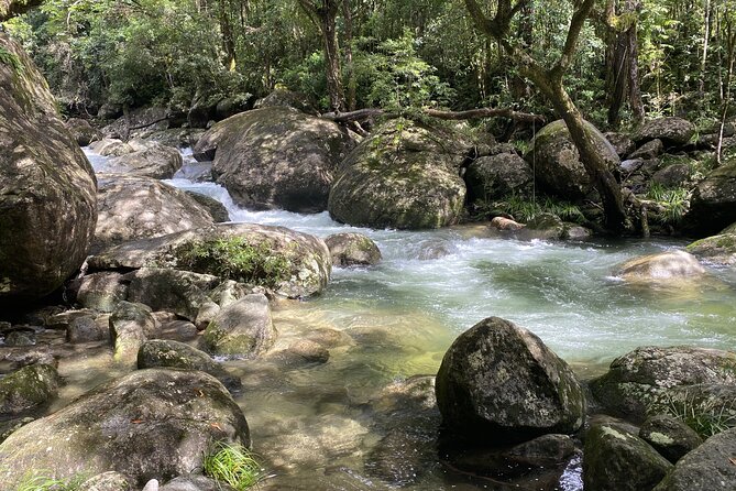 Mossman Gorge Daintree Experience Small Groups - What the price includes, and where the value sits