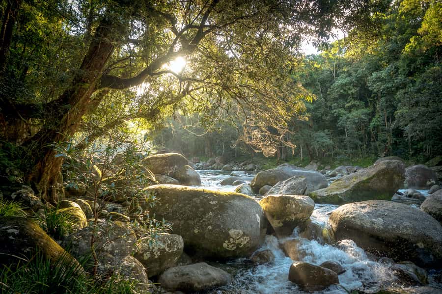 Mossman Gorge: Day Tour with River Drift Experience - Key points at a glance