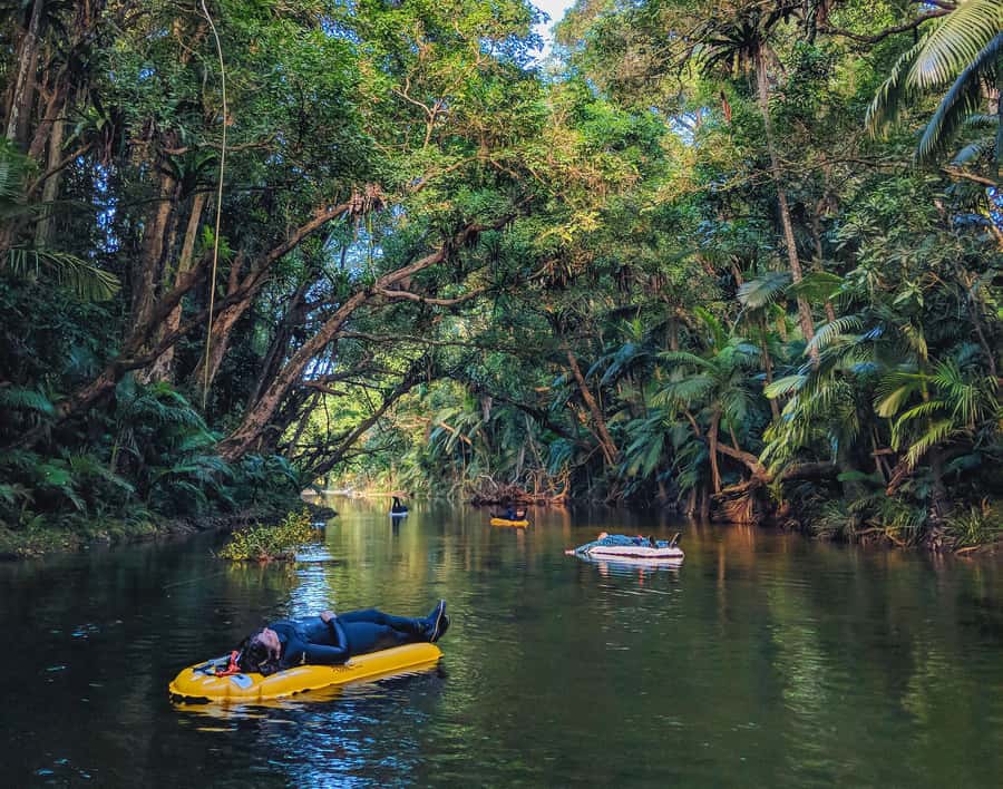 Mossman Gorge: Day Tour with River Drift Experience - Is the river drift worth your day?