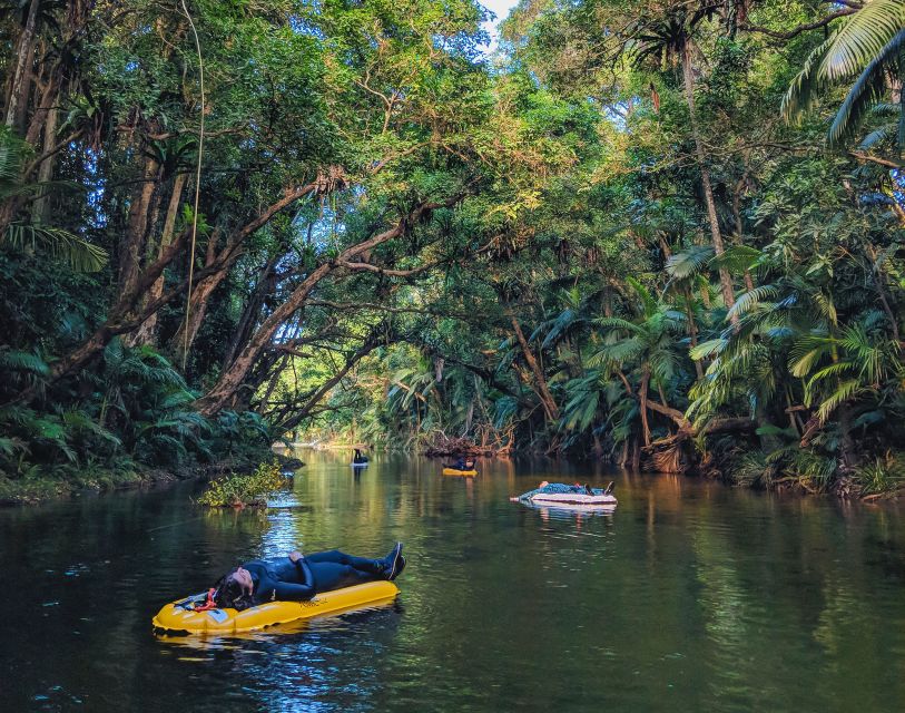 Mossman Gorge: Day Tour with River Drift Experience - The day’s timing and route