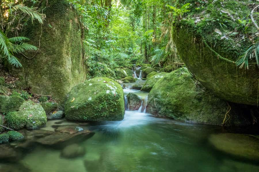 Mossman Gorge: Day Tour with River Drift Experience - Practical tips before you go
