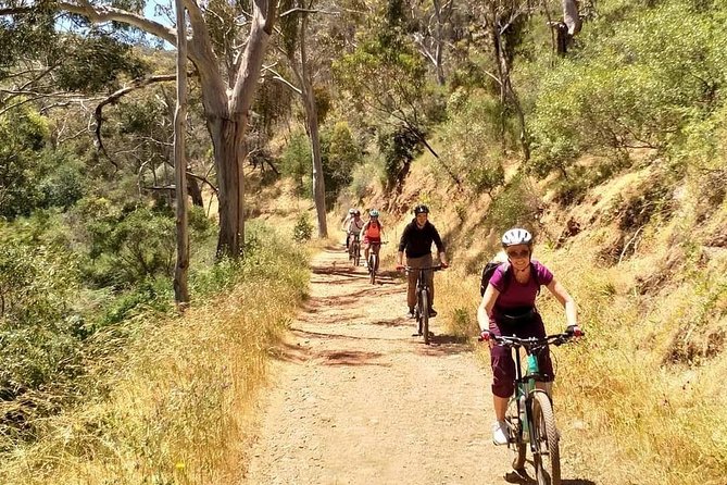 Mount Lofty Descent Bike Tour from Adelaide - Riding through Cleland Conservation Park